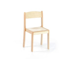Stapelstuhl Delux in 5 Gr. - Stacking Chair Delux in 5 Sizes43270 - 43275 - 43280 - 43285 - 43284 edufun edu fun